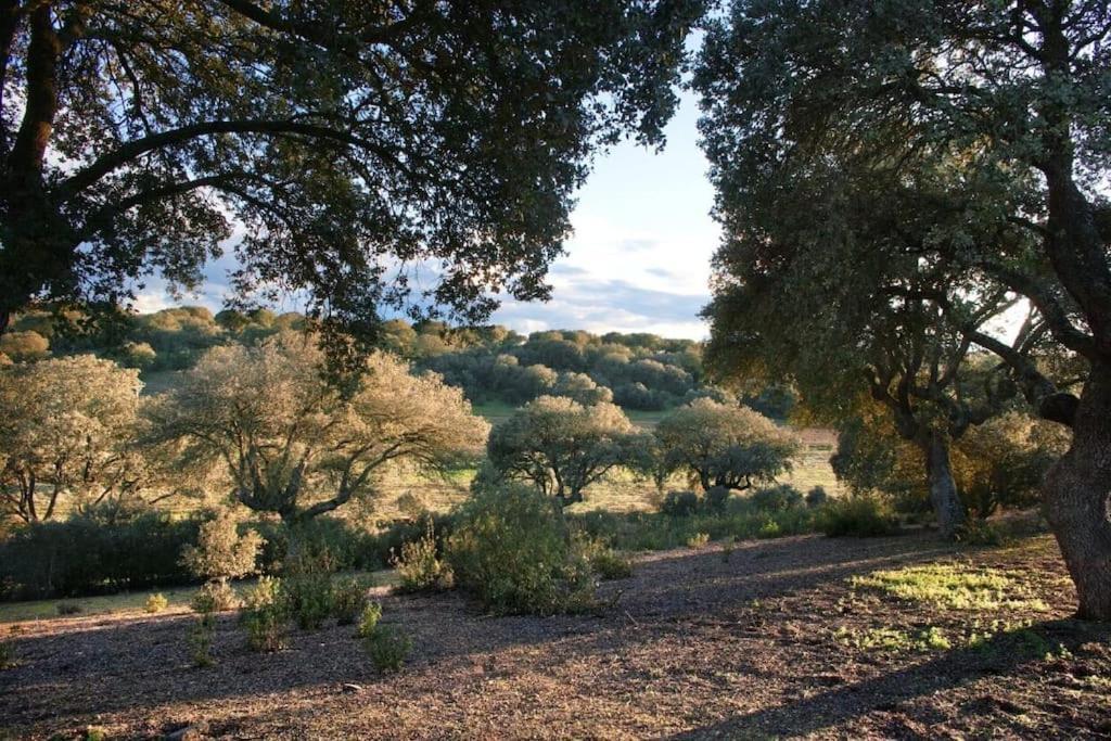 Casa Rural Finca Requejo Cerca De Benavente Tr 49426 Manganeses de la Polvorosa ภายนอก รูปภาพ