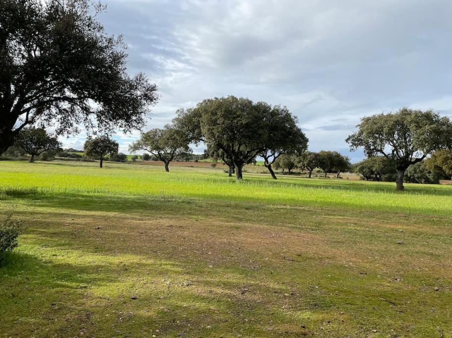 Casa Rural Finca Requejo Cerca De Benavente Tr 49426 Manganeses de la Polvorosa ภายนอก รูปภาพ