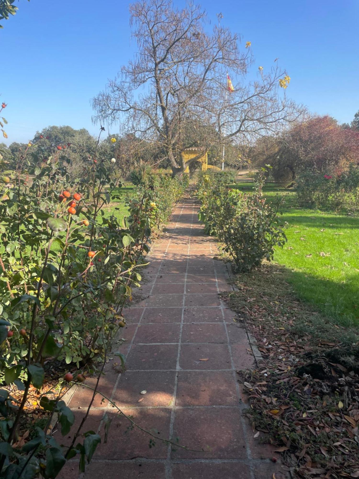 Casa Rural Finca Requejo Cerca De Benavente Tr 49426 Manganeses de la Polvorosa ภายนอก รูปภาพ